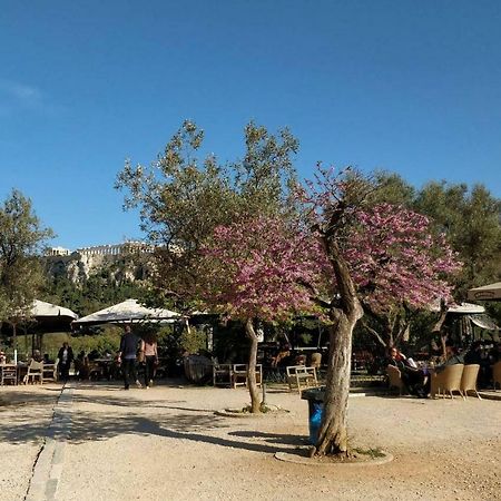 Athens Blossom House Under Acropolis With Private Entrance Zewnętrze zdjęcie